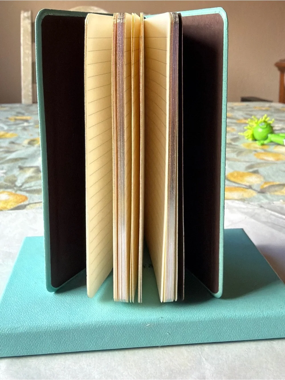 🩵📒🩵 TIFFANY & CO. POCKET JOURNAL 🩵📒🩵 NWOT 🩵📒🩵